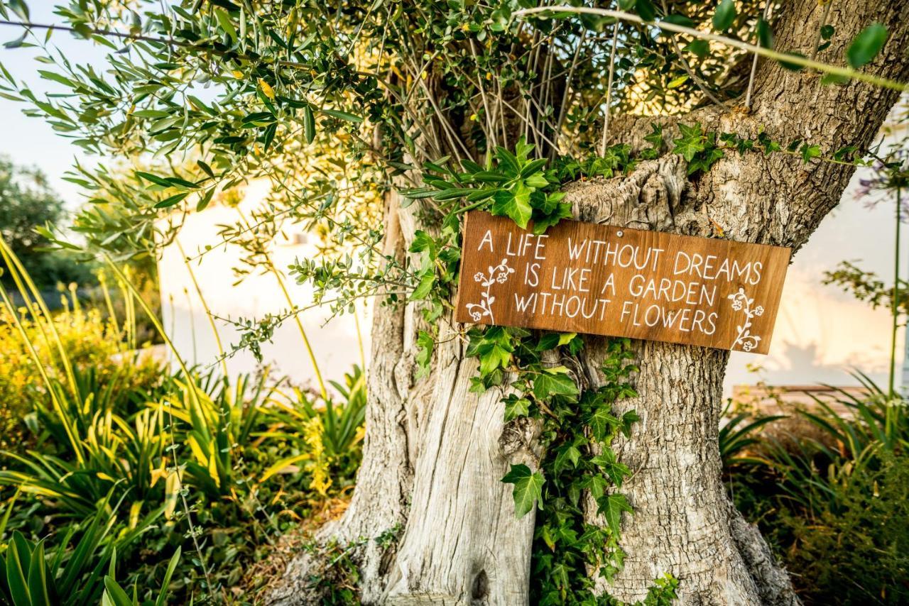 Trulli Ad Maiora Βίλα Αλμπερομπέλο Εξωτερικό φωτογραφία