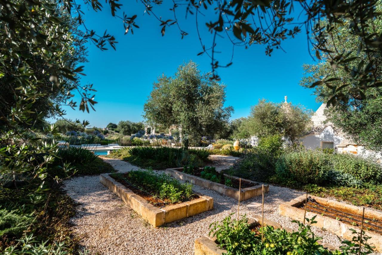 Trulli Ad Maiora Βίλα Αλμπερομπέλο Εξωτερικό φωτογραφία