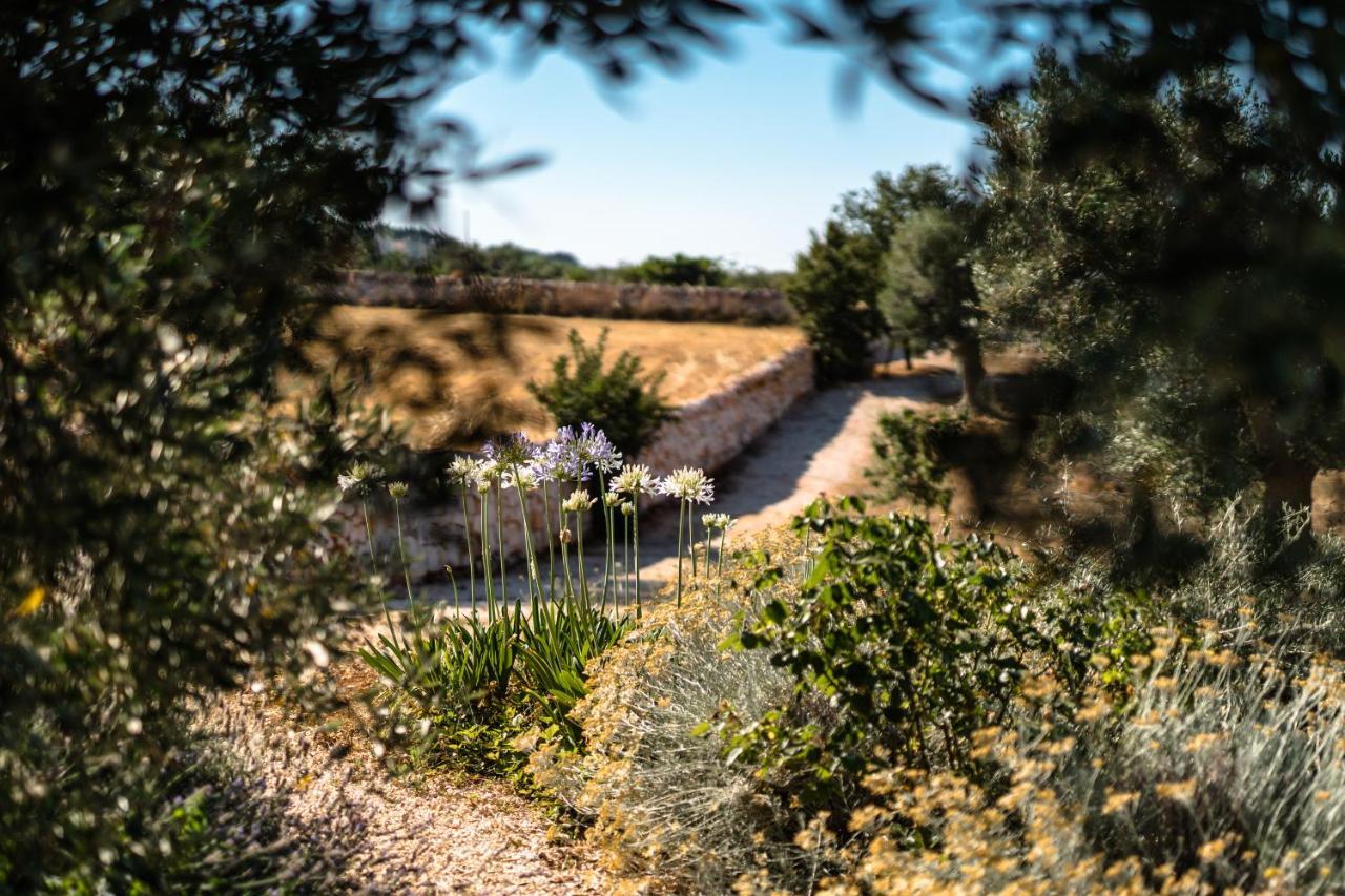 Trulli Ad Maiora Βίλα Αλμπερομπέλο Εξωτερικό φωτογραφία