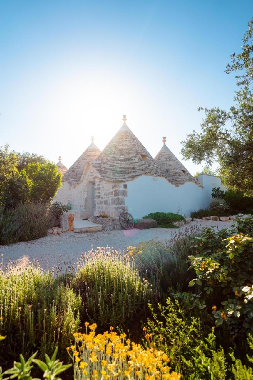 Trulli Ad Maiora Βίλα Αλμπερομπέλο Εξωτερικό φωτογραφία